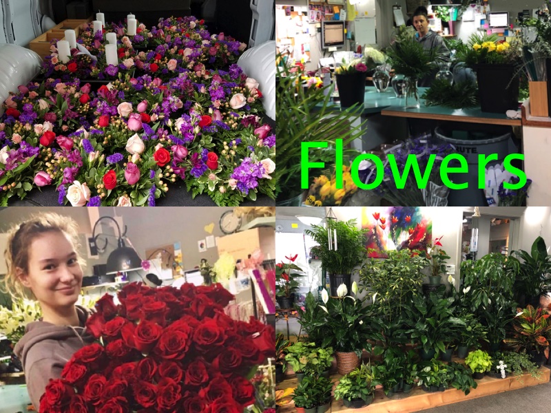 Home Fifth Street Flower Shop